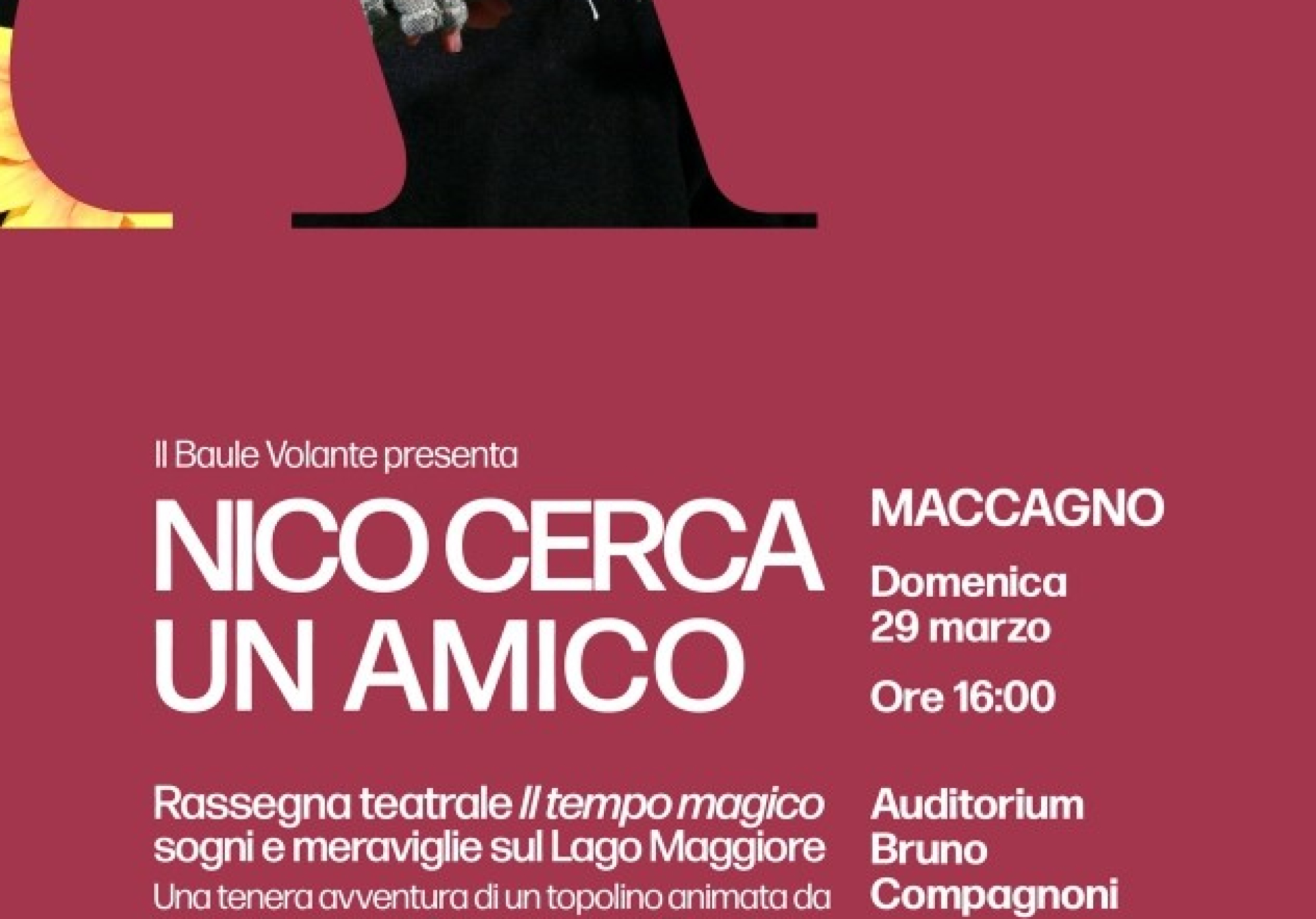 Nico cerca un amico - IL BAULE VOLANTE